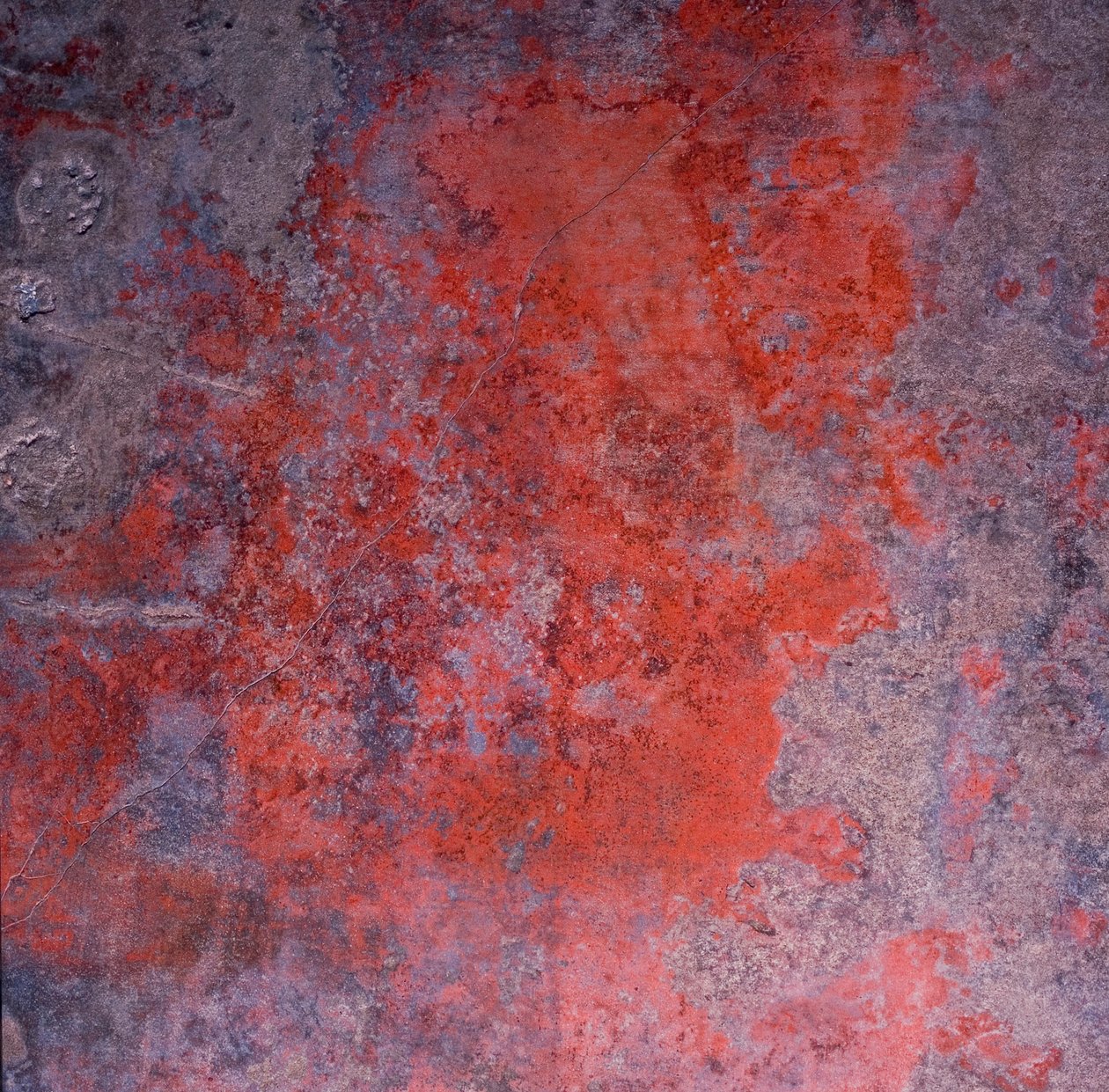 Detail fresky od Unknown