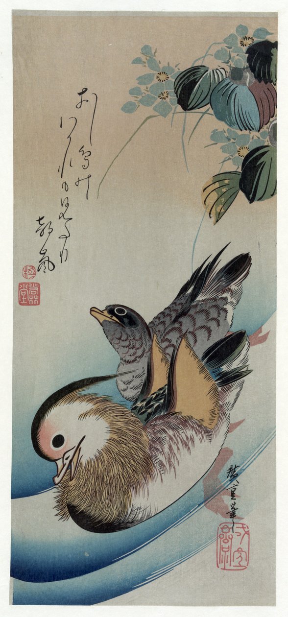 Oshidori (mandarínské kachny) od Utagawa Hiroshige
