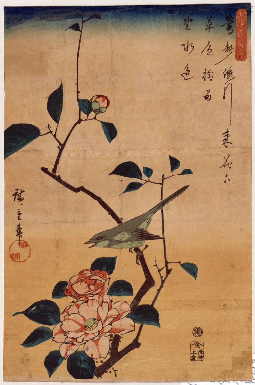 Tsubaki ni Uguisu (Camellia and Bush Warbler) od Utagawa Hiroshige
