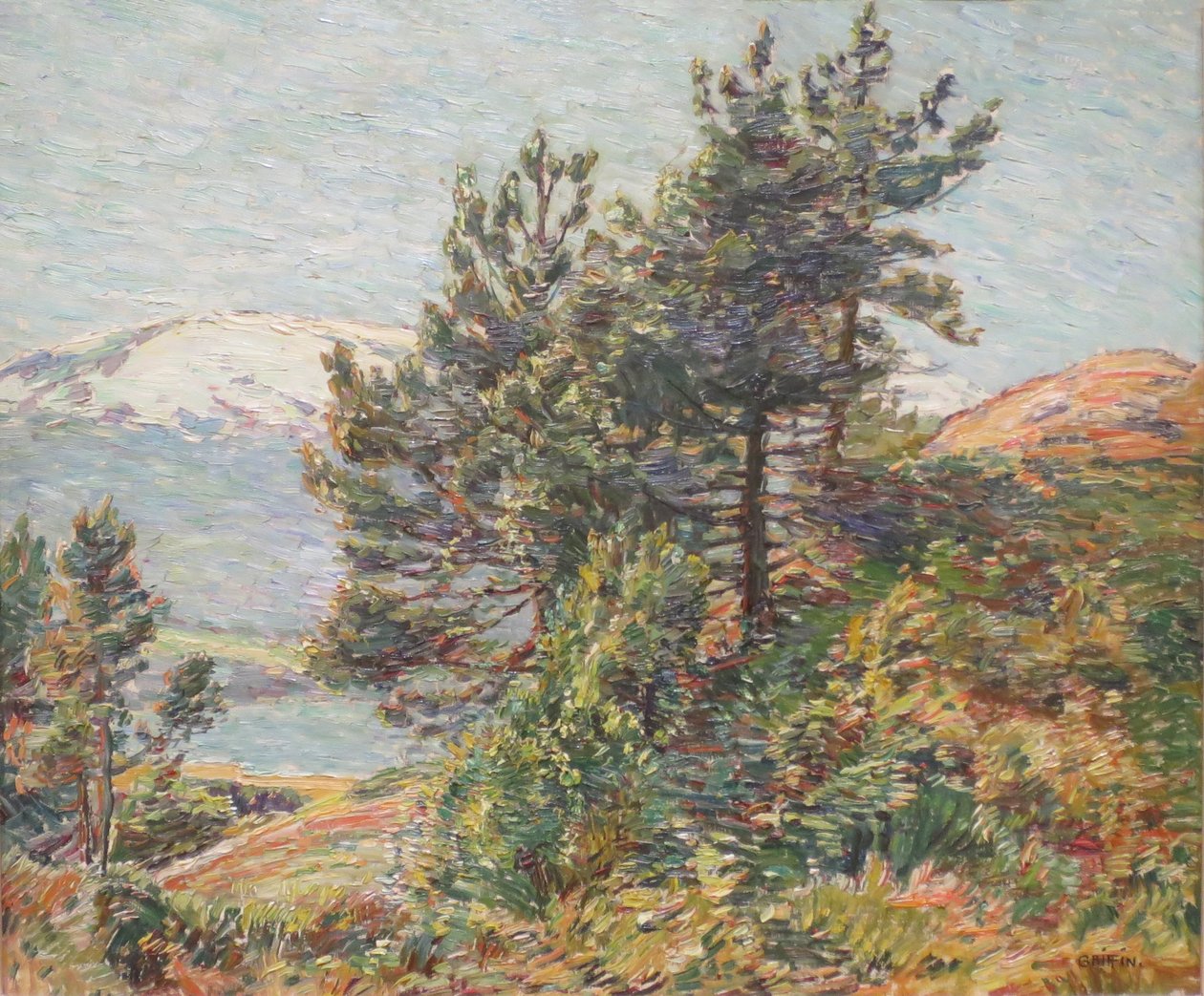 Norsko borovice krajina od Walter Griffin