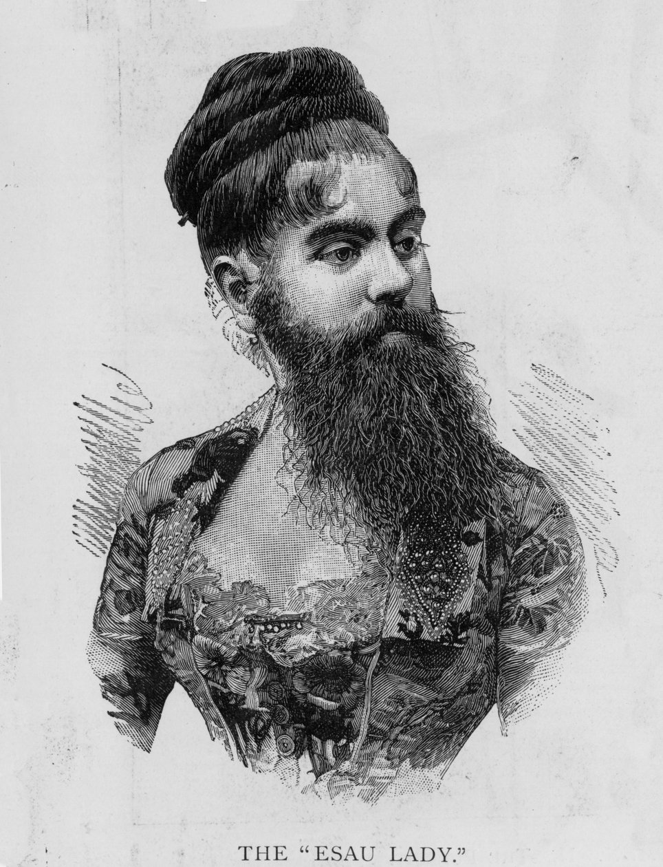 Annie Jonesová, známá jako Ezauova dáma, 1893 od Unknown