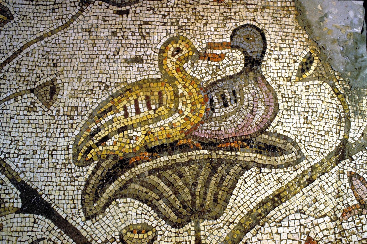 Detail z mozaiky Tabgha od Unknown