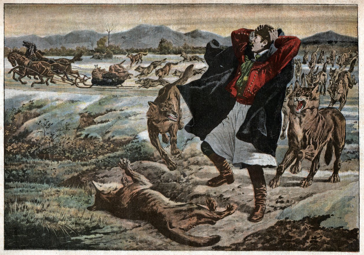 Loups v Transylvánii. Vlci v Transylvánii. od Unknown