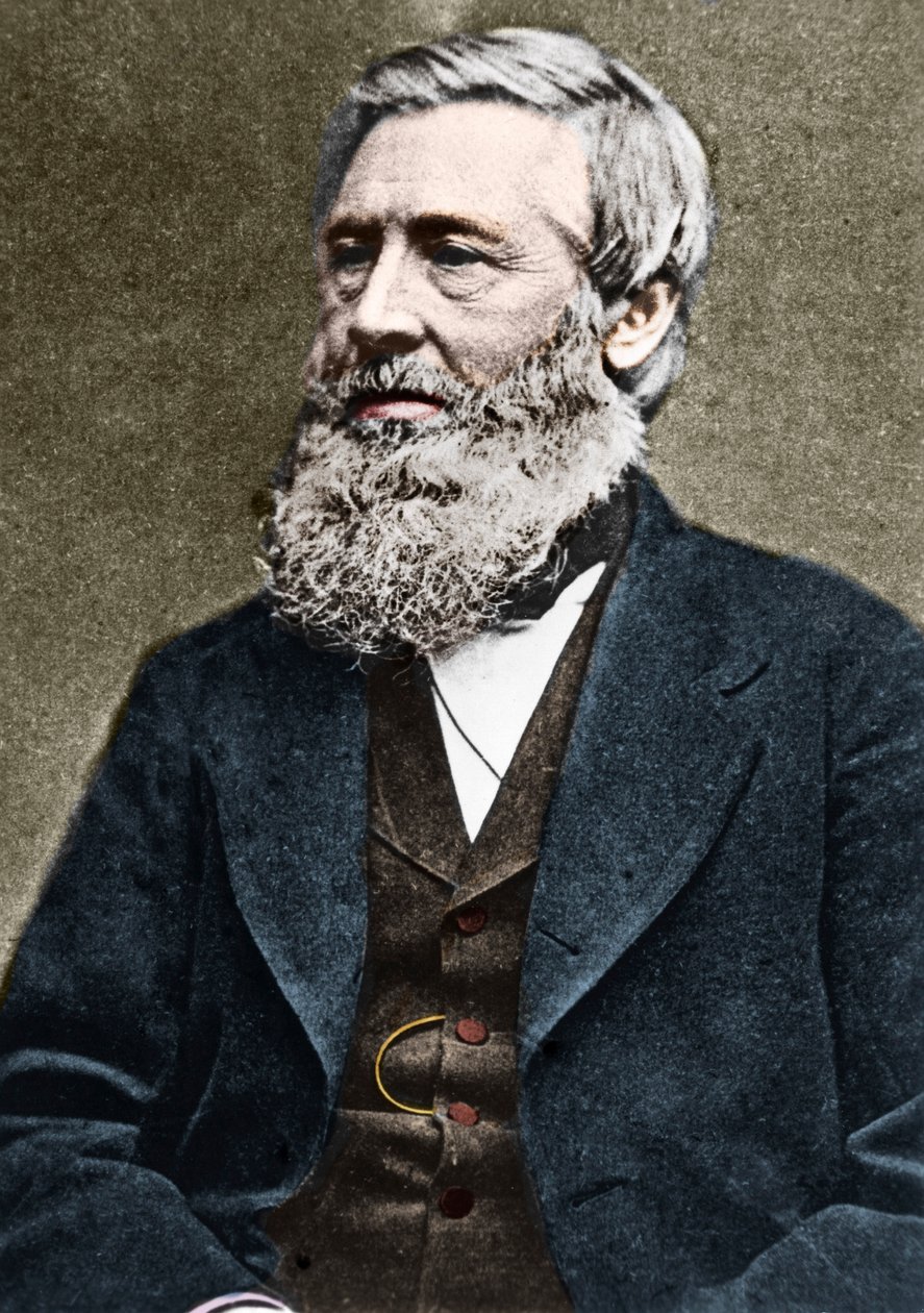 Portrét Asa Graye (1810-1888), amerického botanika. c1884. od American Photographer