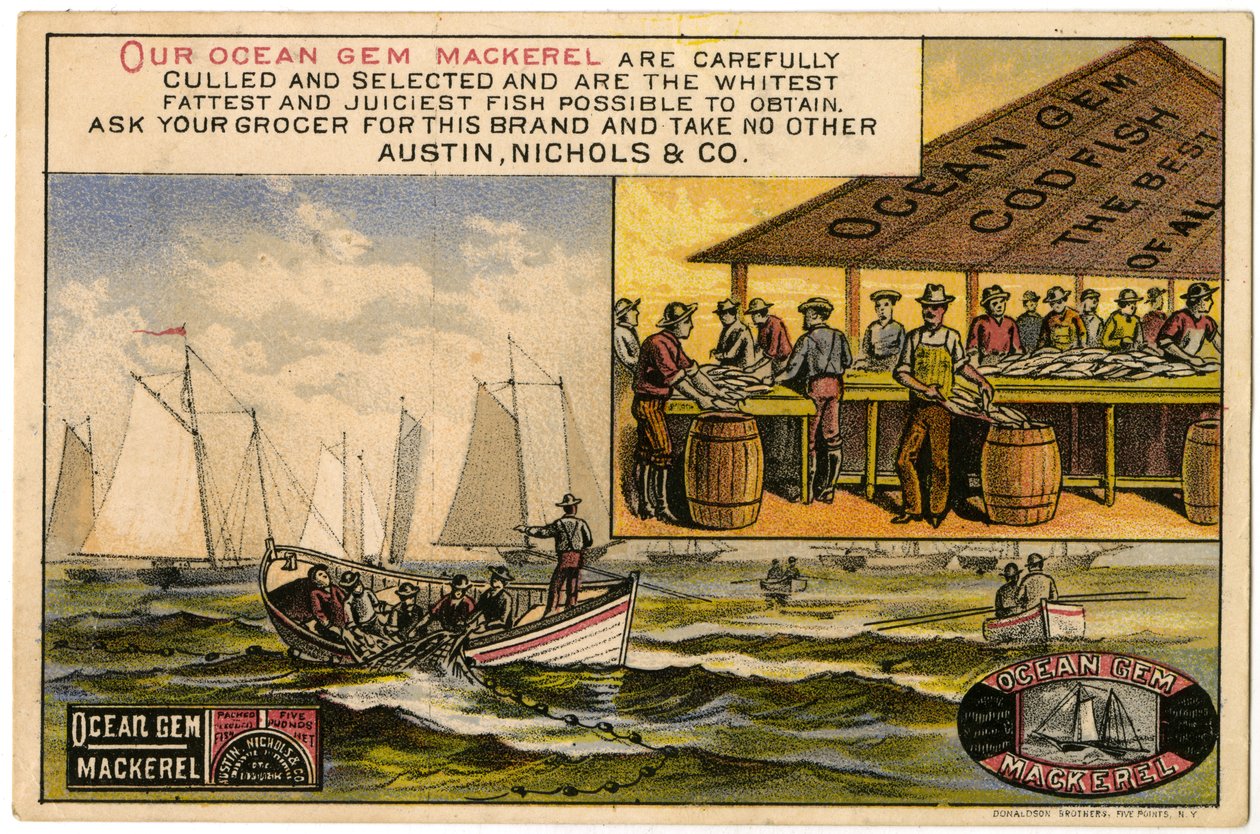 Austin, Nichols & Co. Ocean Gem Mackerel, obchodní karta recto., (barva lito [obchodní karta]) od American School