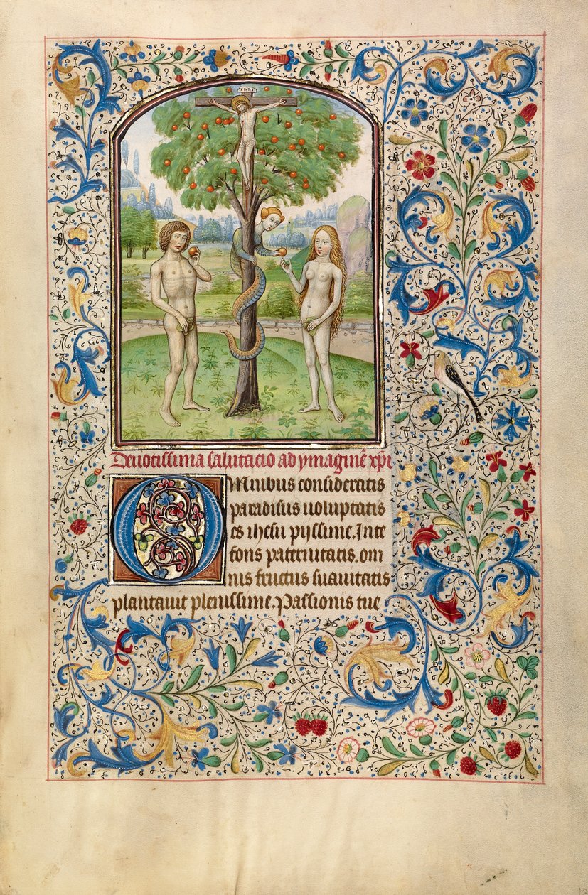 Adam a Eva jedí zakázané ovoce, počátek roku 1460 (tempera, list zlata a inkoust na pergamenu) od Flemish School