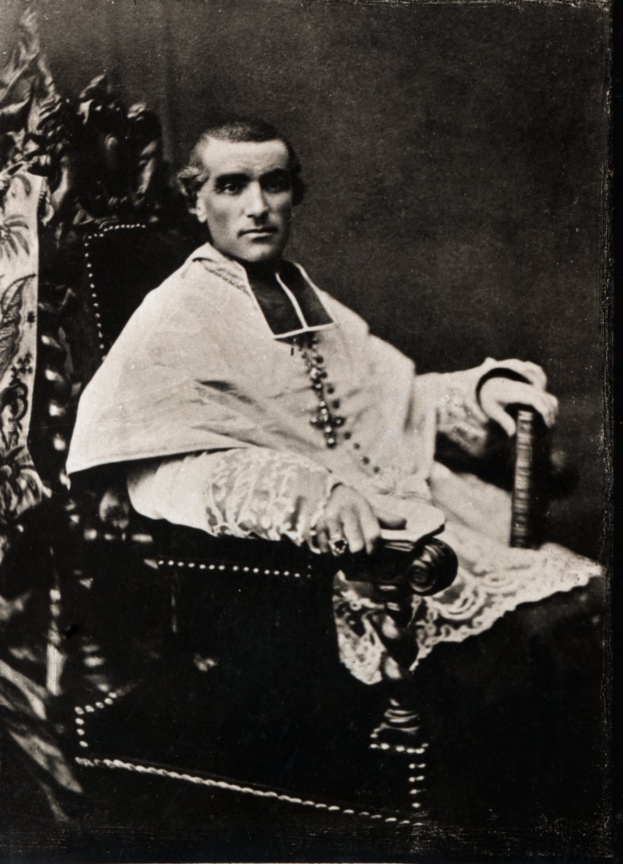Portrét Adolphe Perraud (1828-1906), francouzský kardinál a akademik. od French Photographer