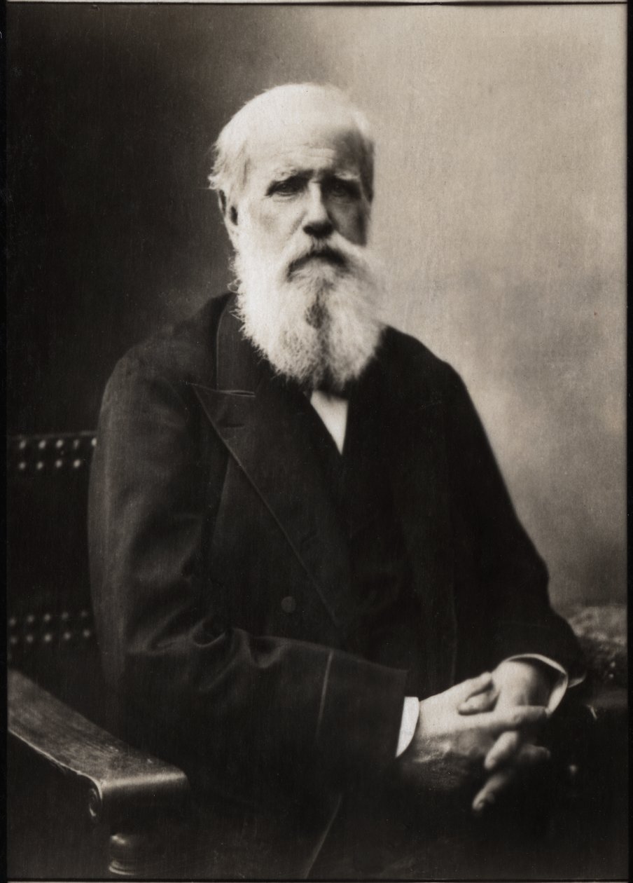 Portrét Dom Pedro II (Petr II) (1825-1891), císař Brazílie. od French Photographer