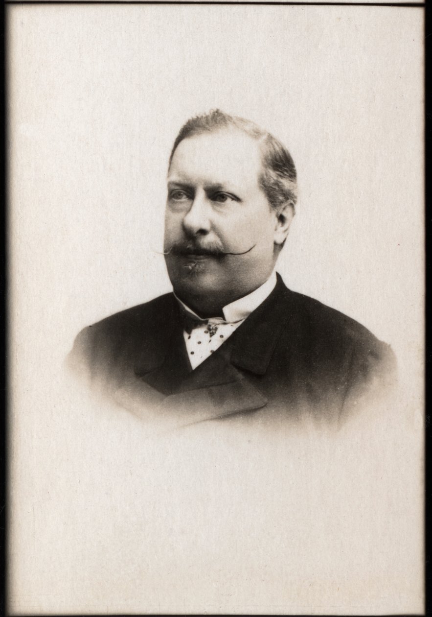 Portrét Luise I. Portugalského (1838-1889), portugalského krále. od French Photographer