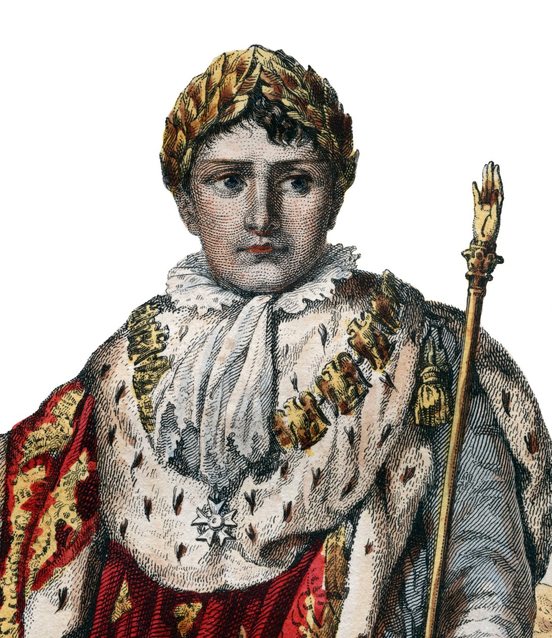 Portrét Napoleona I. (Napoleon Bonaparte) (1769-1821), císaře Francouzů, v císařském rouchu. od French School