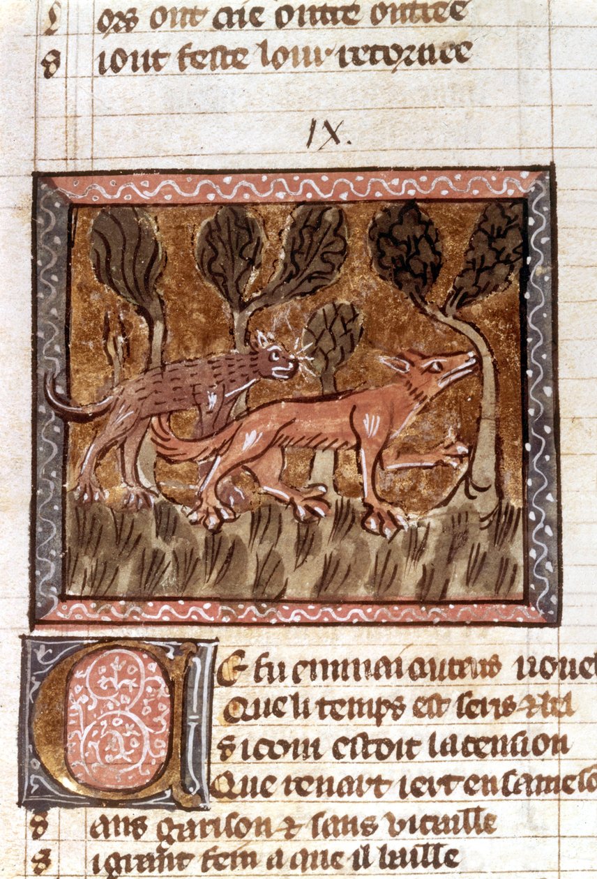 Liška a vlk, iluminace z rukopisu s názvem Roman de Renart (Román o lišce), cca 13. stol. od French School
