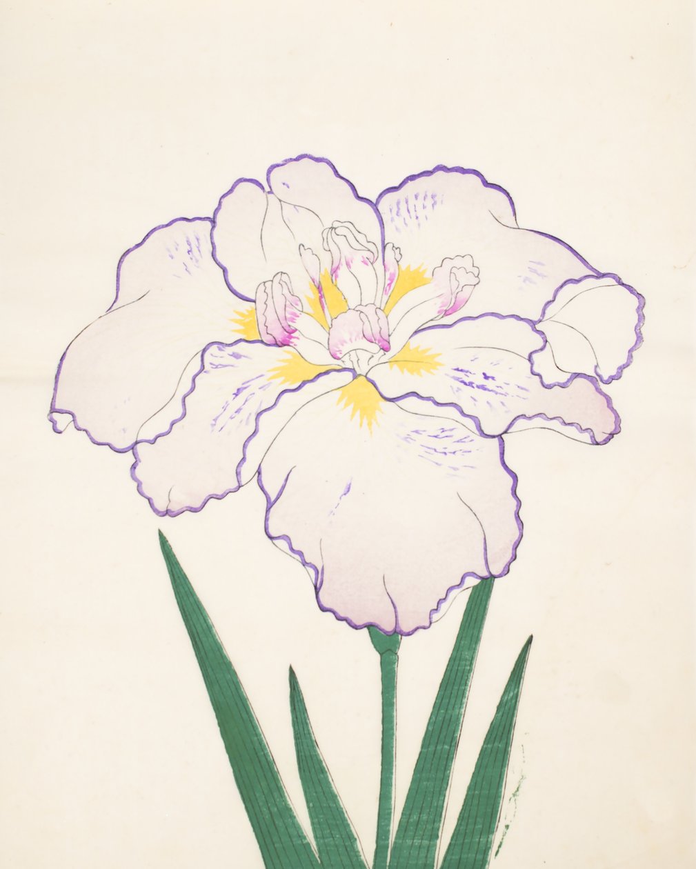 Tanporo, č. 51, 1890 (barevný dřevotisk) od Japanese School