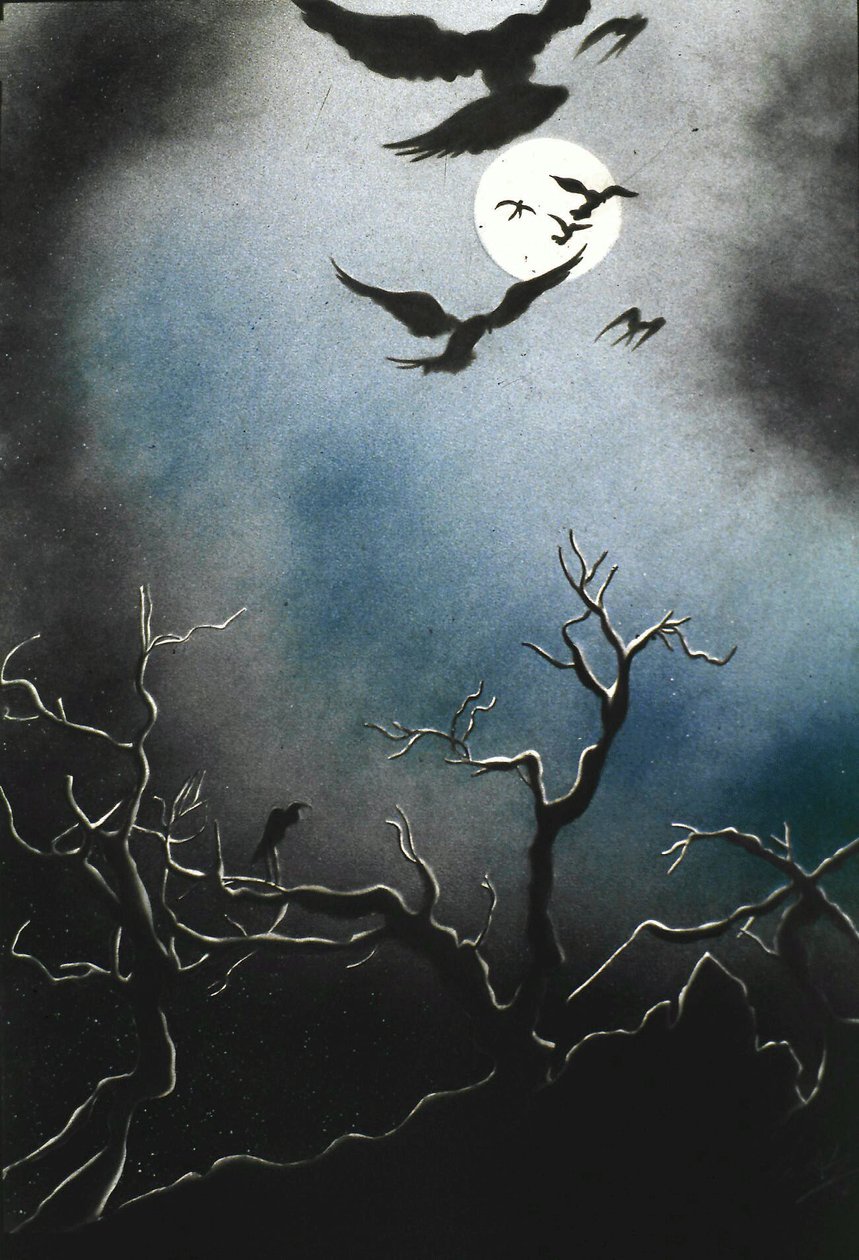 BIRDS od Anghel De Marco