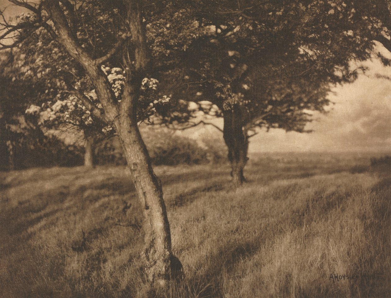 Práce s kamerou: Beyond od A. Horsley Hinton