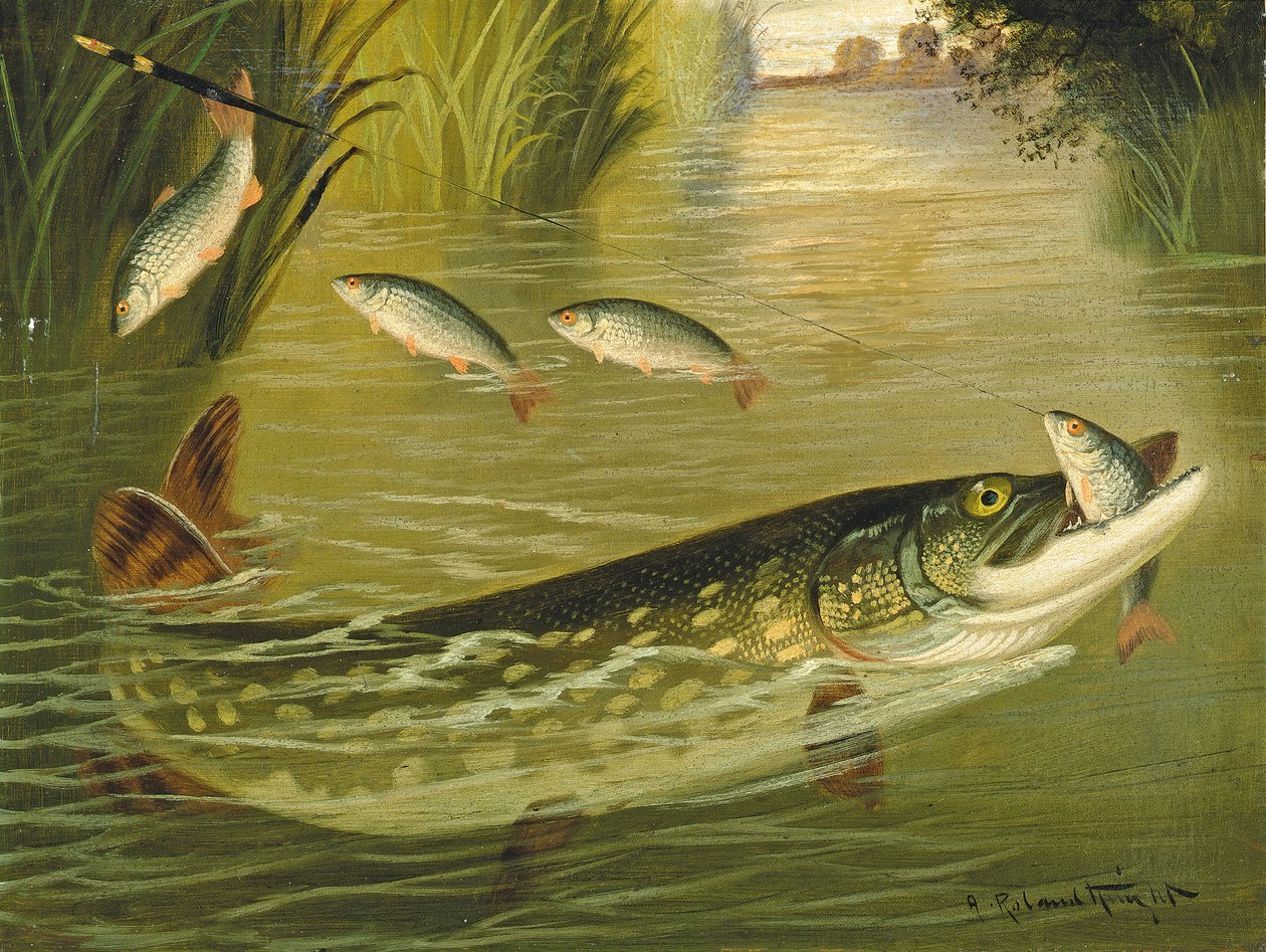 Čtyři, kteří utekli! od A. Roland Knight