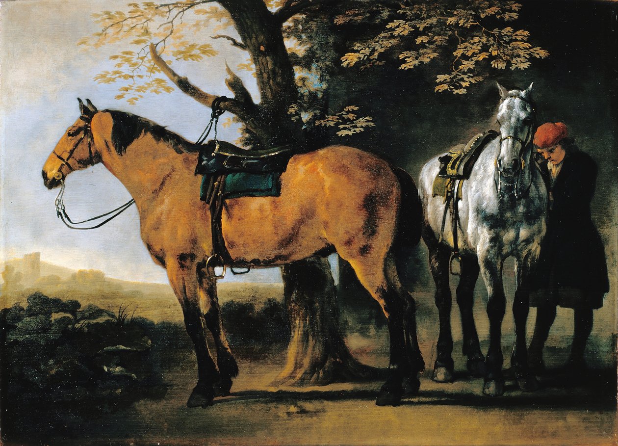 Dva koně od Abraham van Calraet