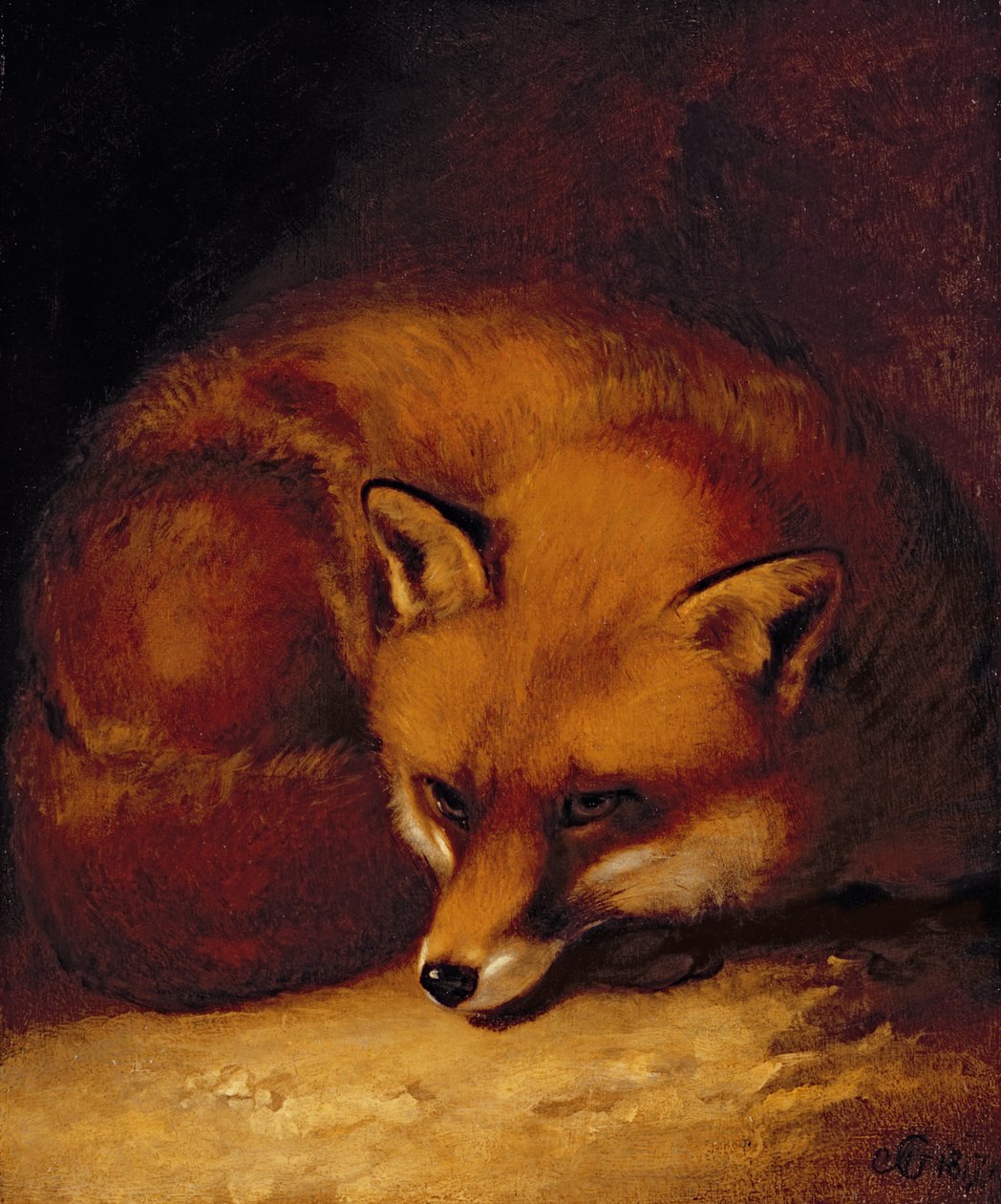 Liška od Abraham Cooper