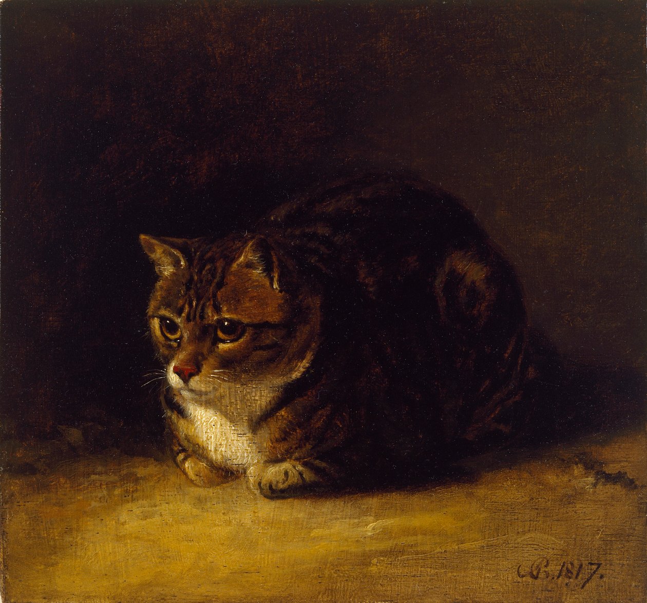 Studie o kočce, 1817 od Abraham Cooper