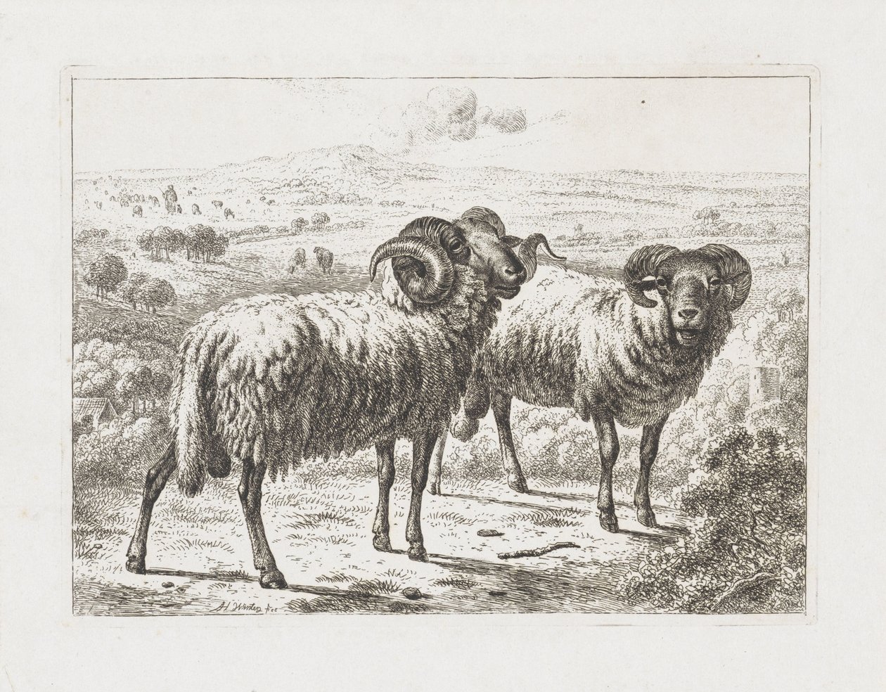 Dva berani od Abraham Hendrik Winter