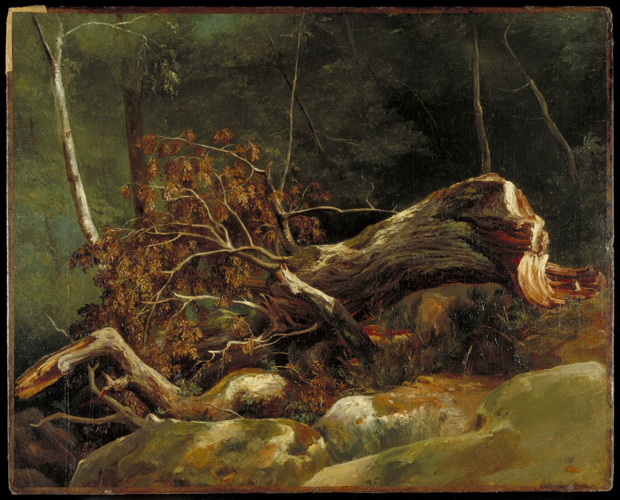 The Fallen Branch, Fontainebleau, cca 1816 (olej na plátně na kartě) od Achille Etna Michallon