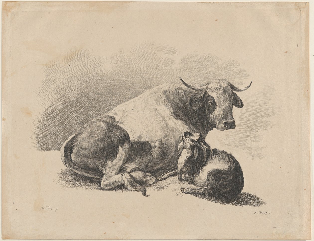 Kráva a koza vleže, 1800-01. od Adam von Bartsch