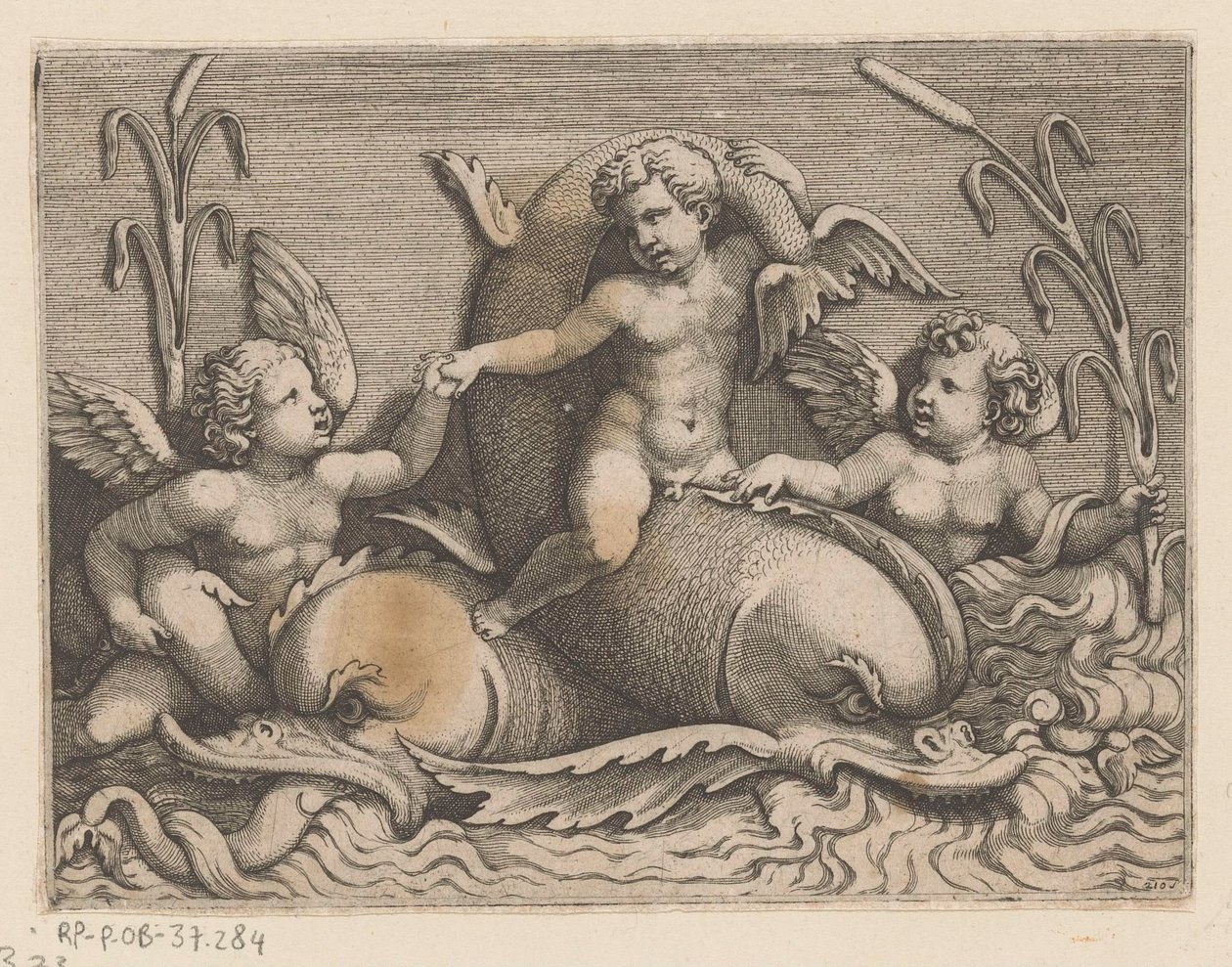 Tři putti s delfíny od Adamo Scultori