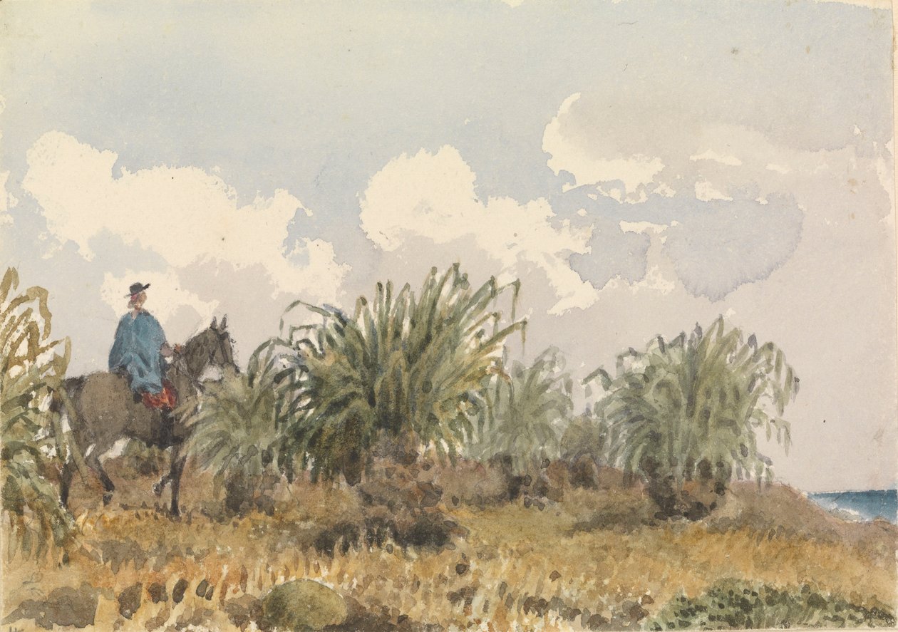 Tussac Grass, Falklandy od Admiral Sir Edward Gennys Fanshawe