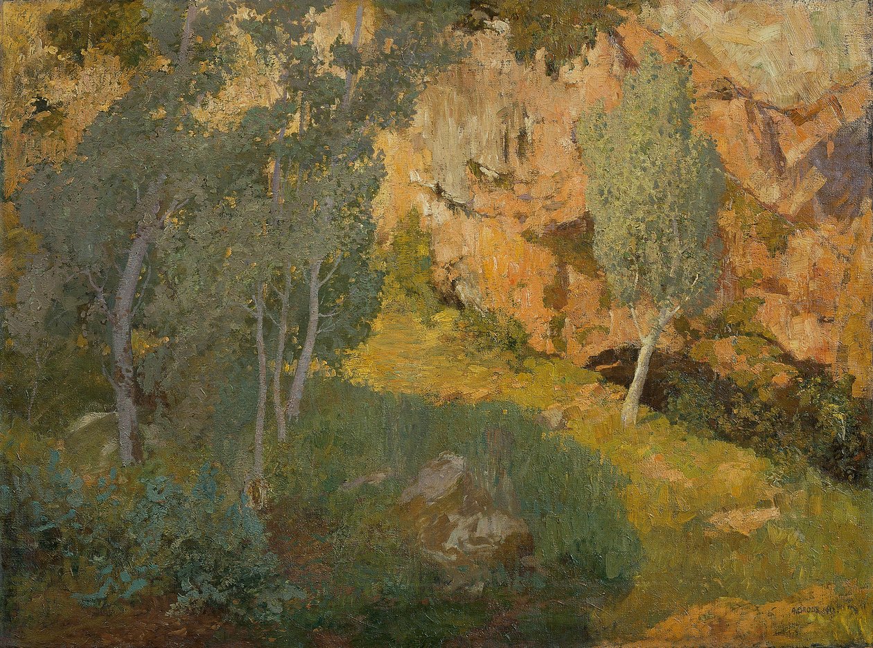 Slunečné skalnaté údolí od Adolf Gross
