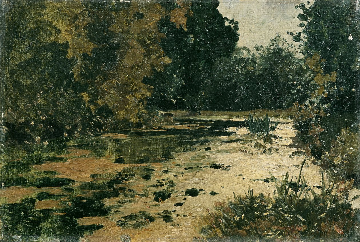 Waldtümpel od Adolf Gustav Ditscheiner