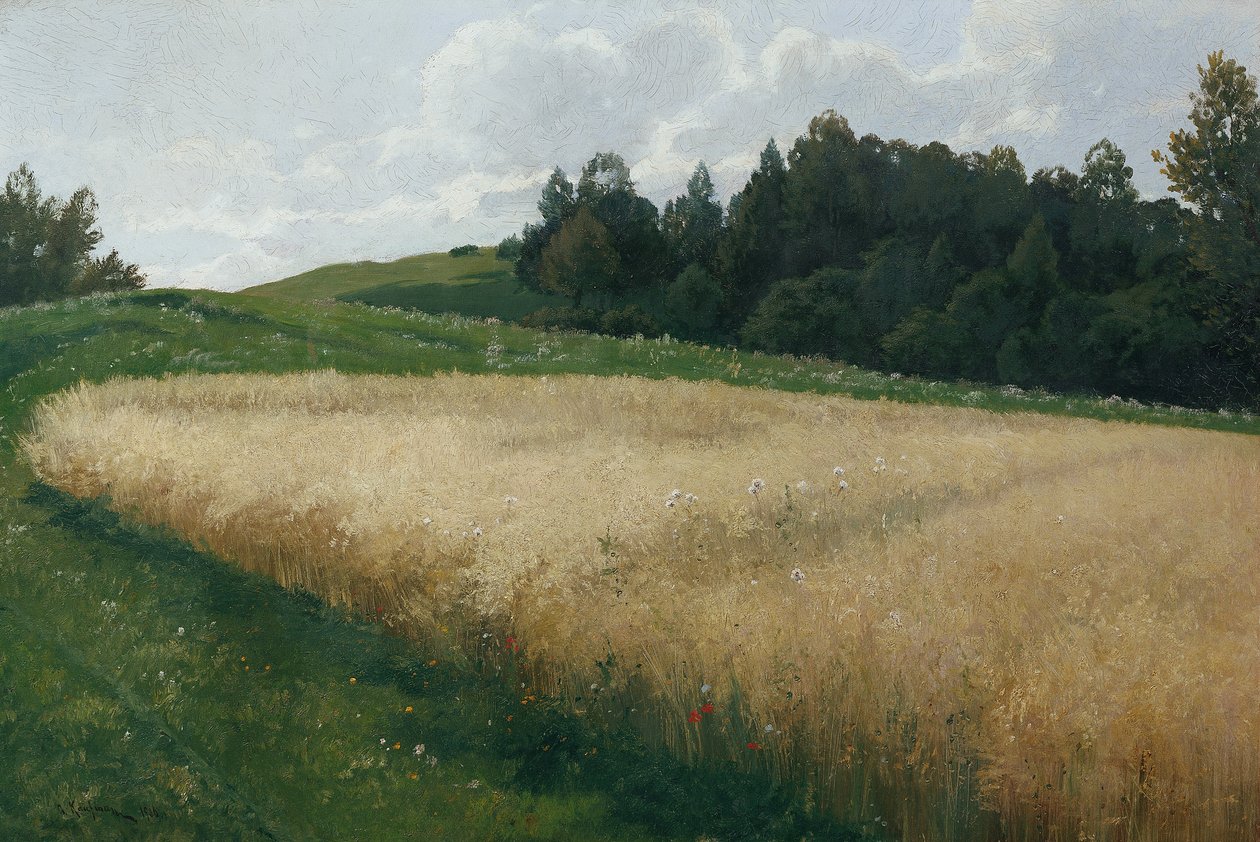 Ovesné pole od Adolf Kaufmann