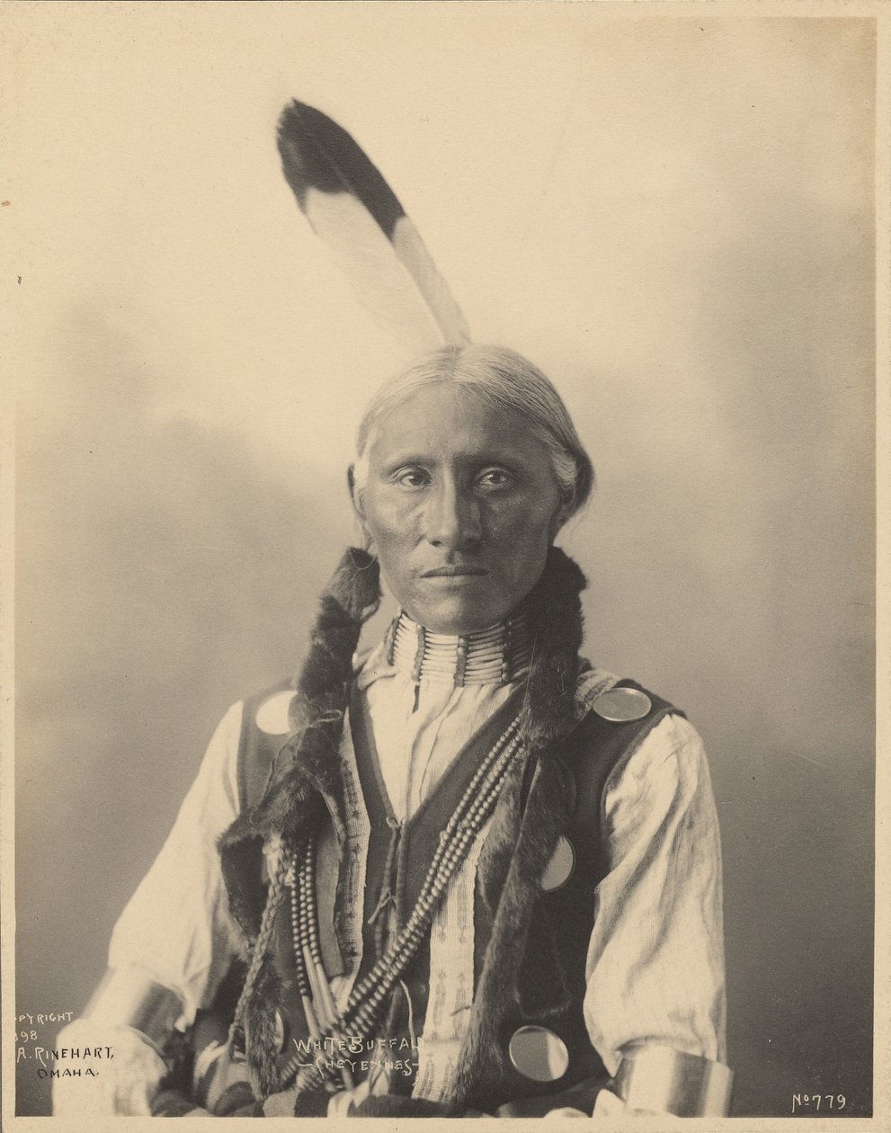 Bílý bizon, Šajeni od Adolph F. Muhr