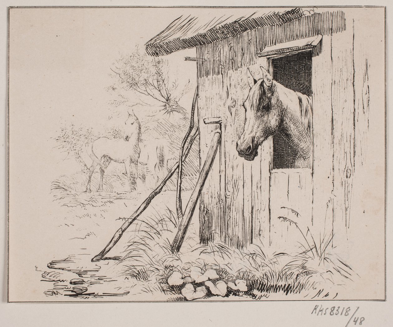Mlýnský kůň od Johan Adolph Kittendorff