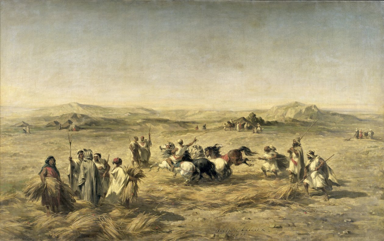 Mlátit pšenici v Alžírsku, 1853 od Adolphe Pierre Leleux