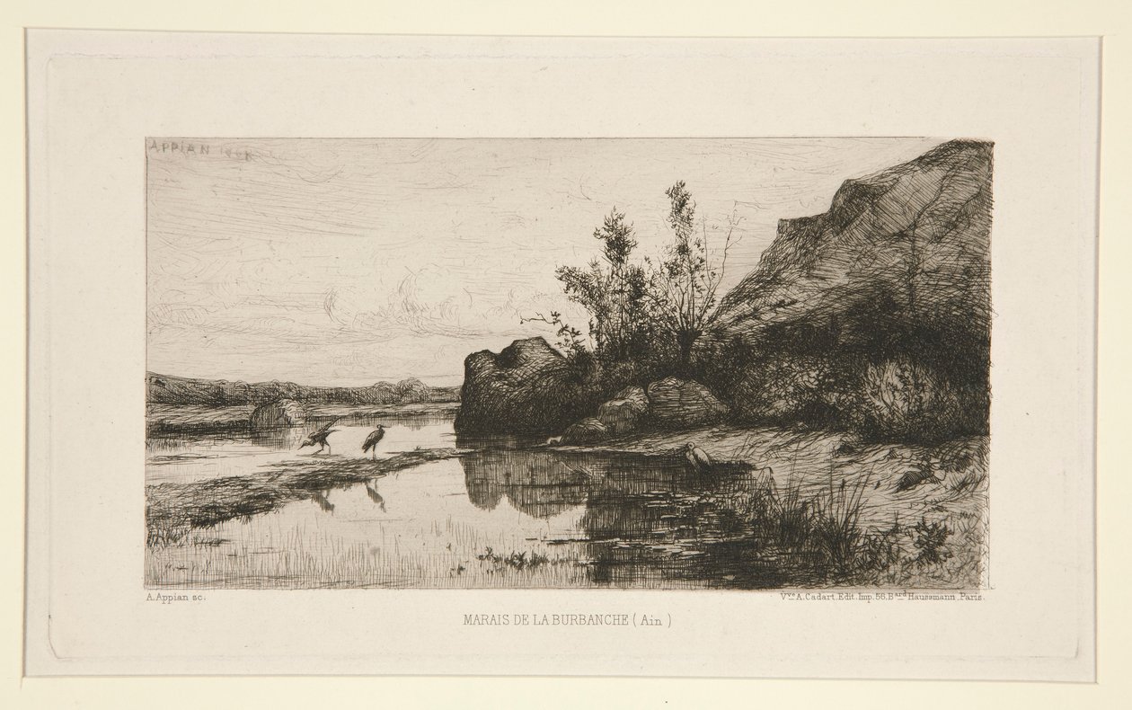 Burbanche Marsh (Ain) od Adolphe Appian