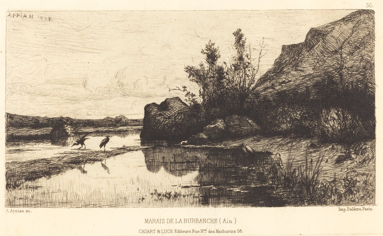 Marsh of the Burbanche od Adolphe Appian