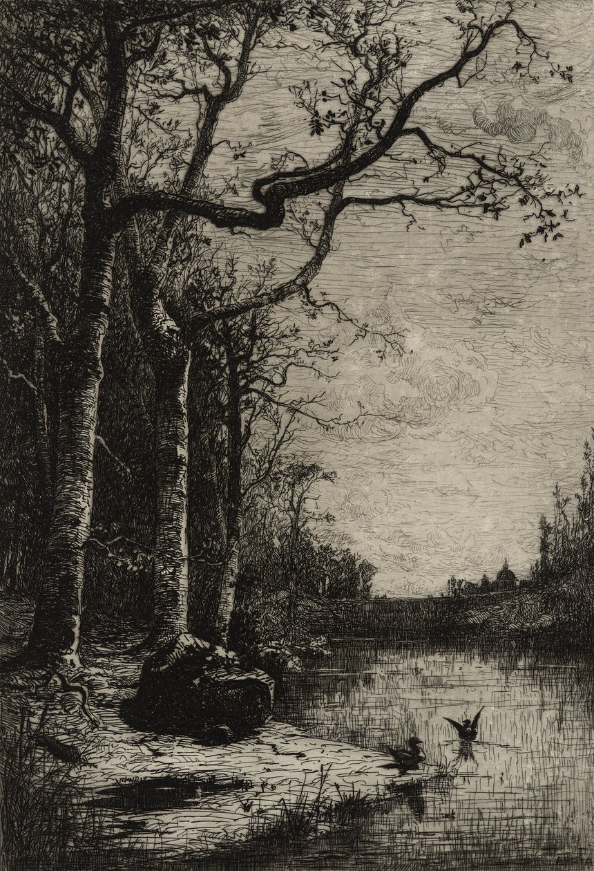 Burbanche Marsh (velká deska), kolem roku 1870 (lept) od Adolphe Appian
