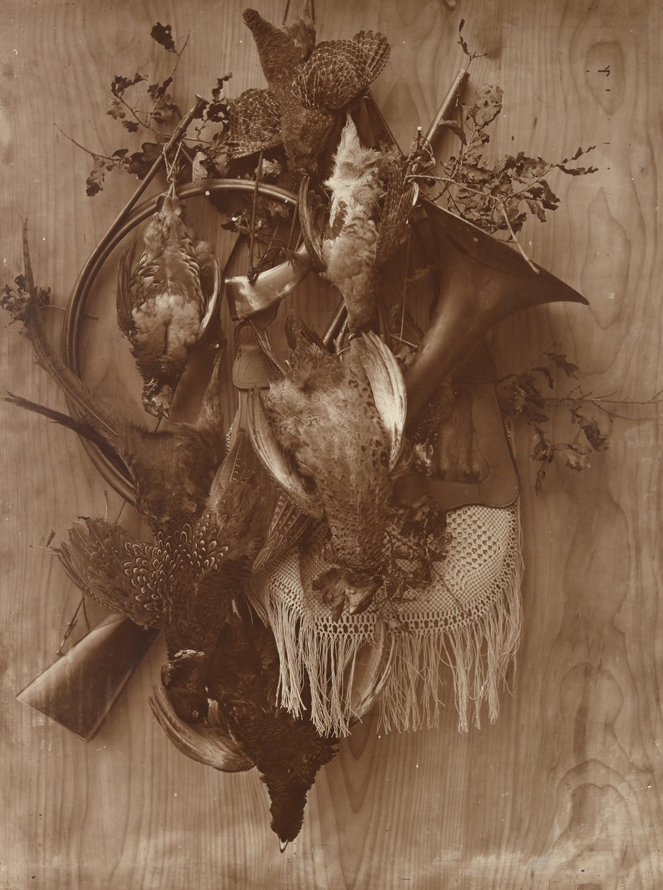 Bažant a Tetřev, ca. 1865. od Adolphe Braun
