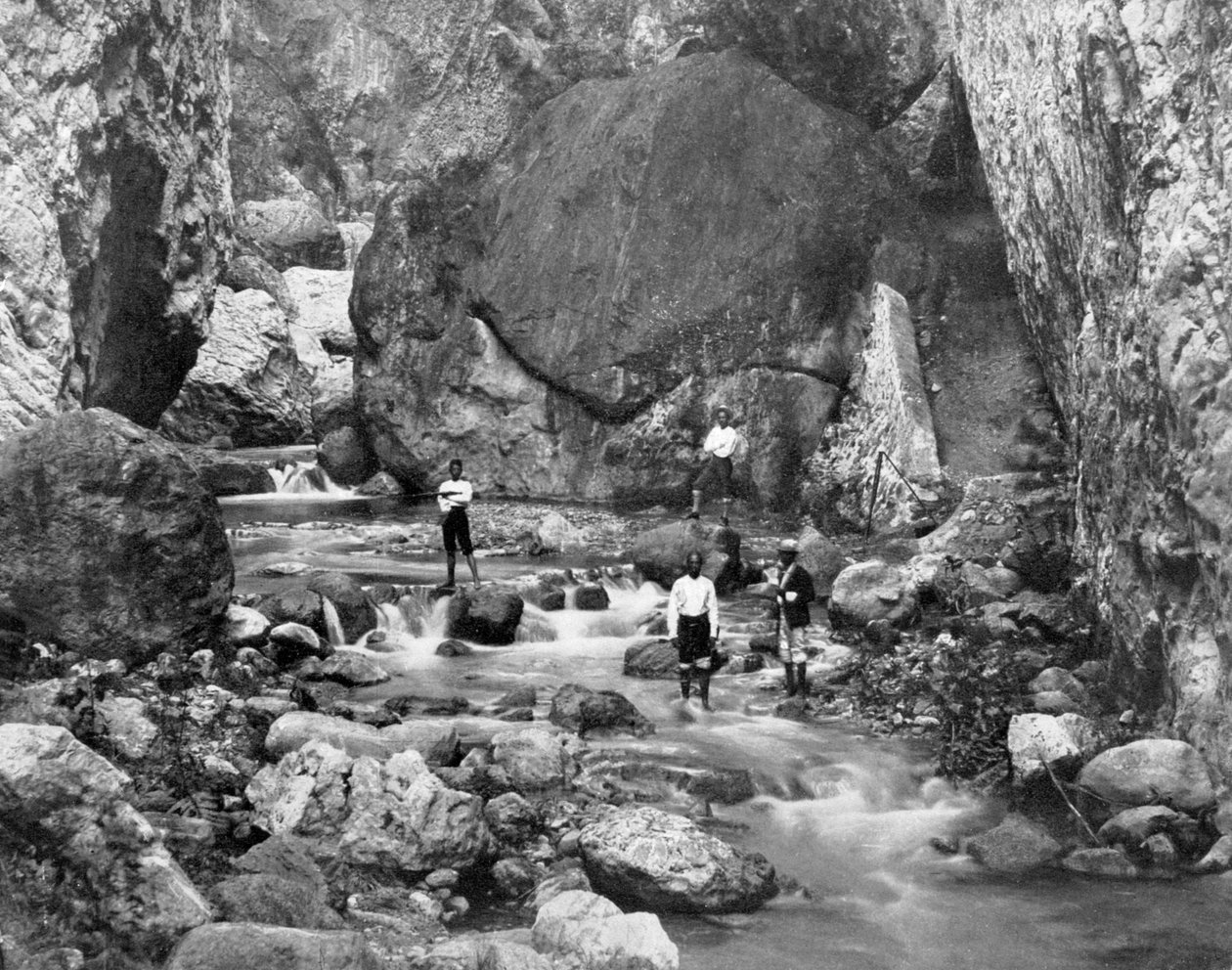 Cane River, Jamajka, c1905. od Adolphe Duperly and Son