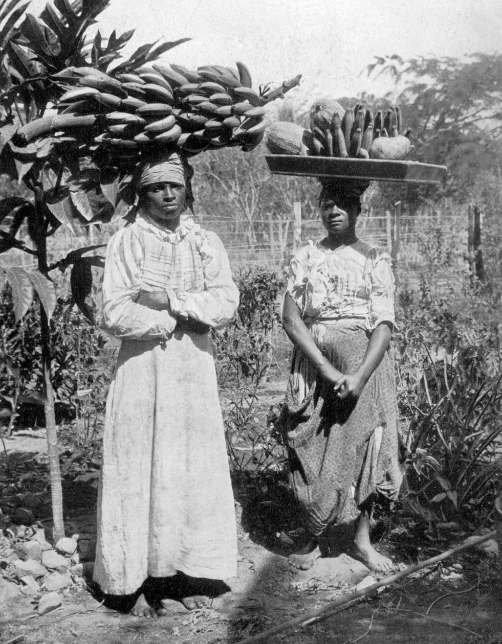 Prodejci ovoce, Jamajka, c1905 od Adolphe Duperly and Son