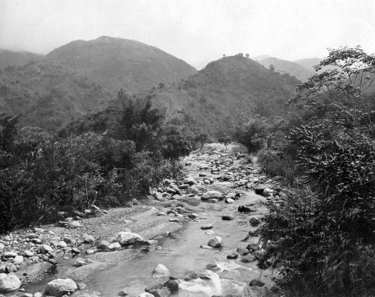 The Wag-River, Castleton, Jamajka, c1905. od Adolphe Duperly and Son