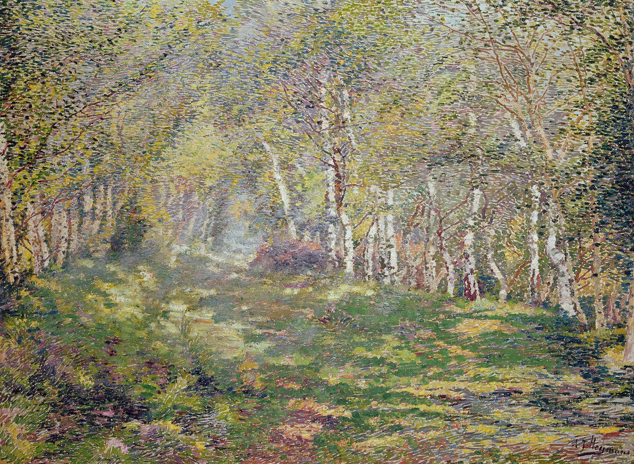 Stříbrné břízy (olej na plátně) od Adriaan Josef Heymans