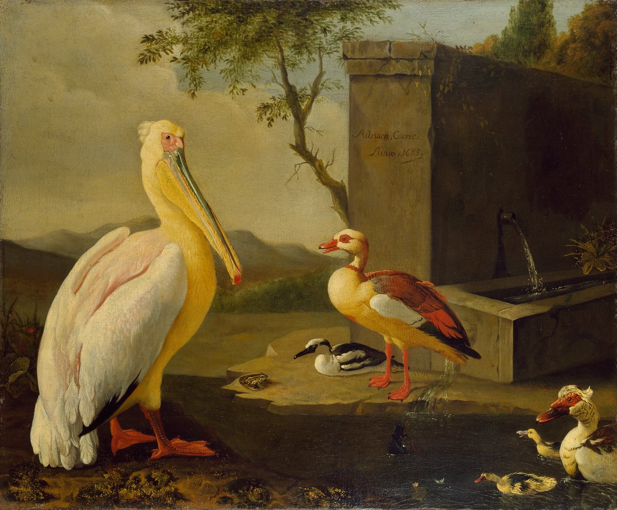 Orientální ptáci, 1683 od Adrian Coorte
