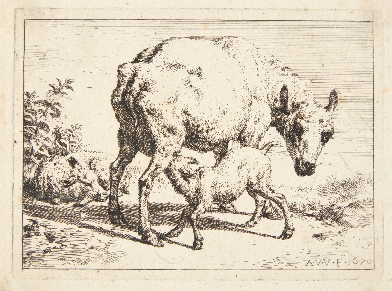 Ovce a dvě jehňata od Adriaen van de Velde