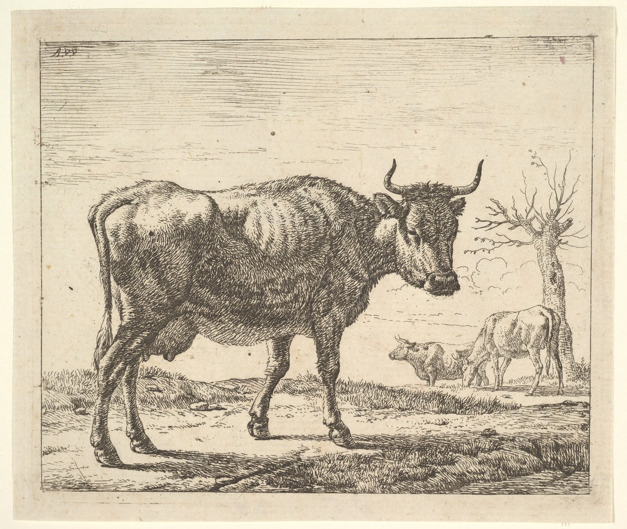 Tři krávy, z různých zvířat. od Adriaen van de Velde
