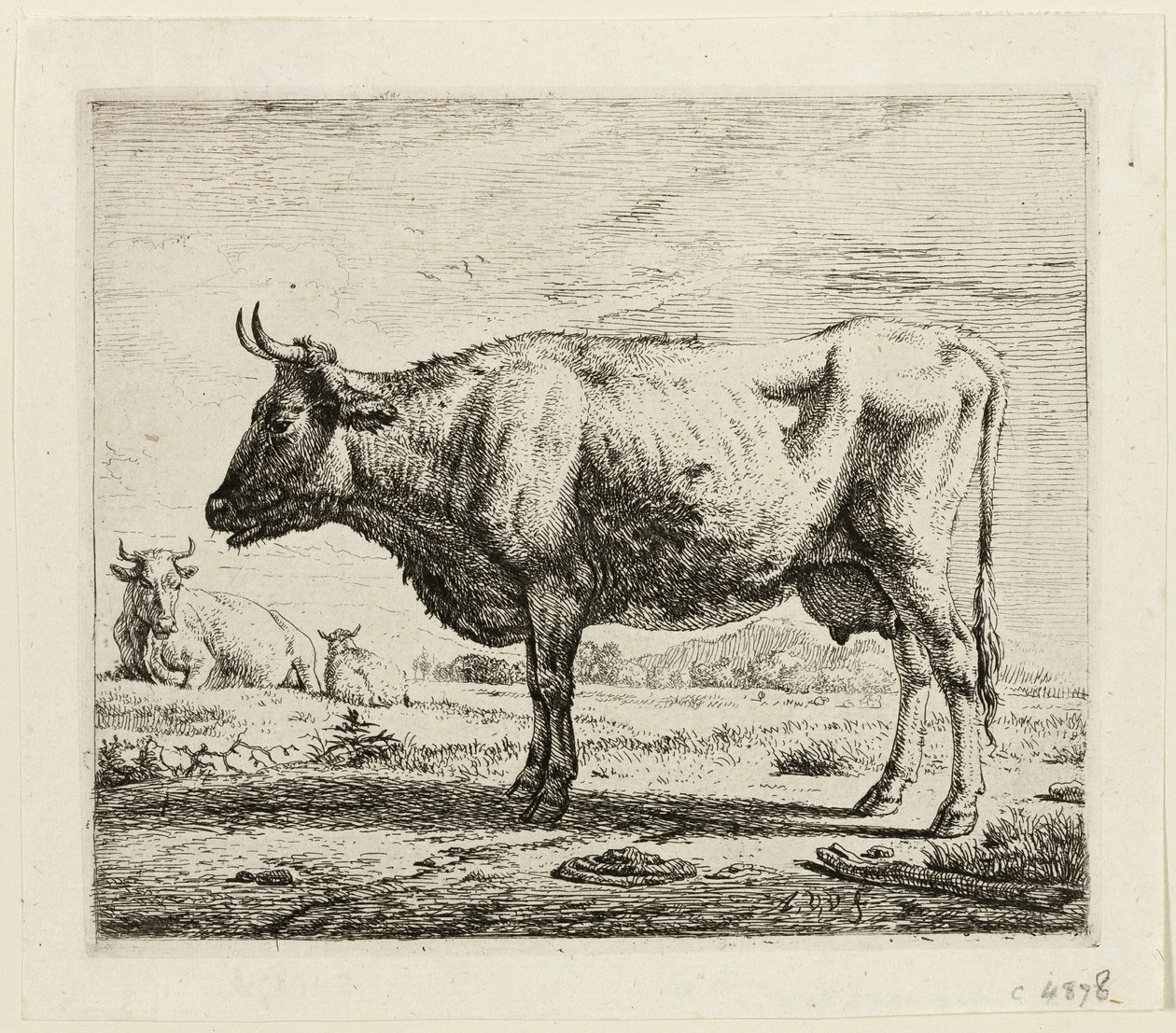 Dvě krávy a ovce od Adriaen van de Velde