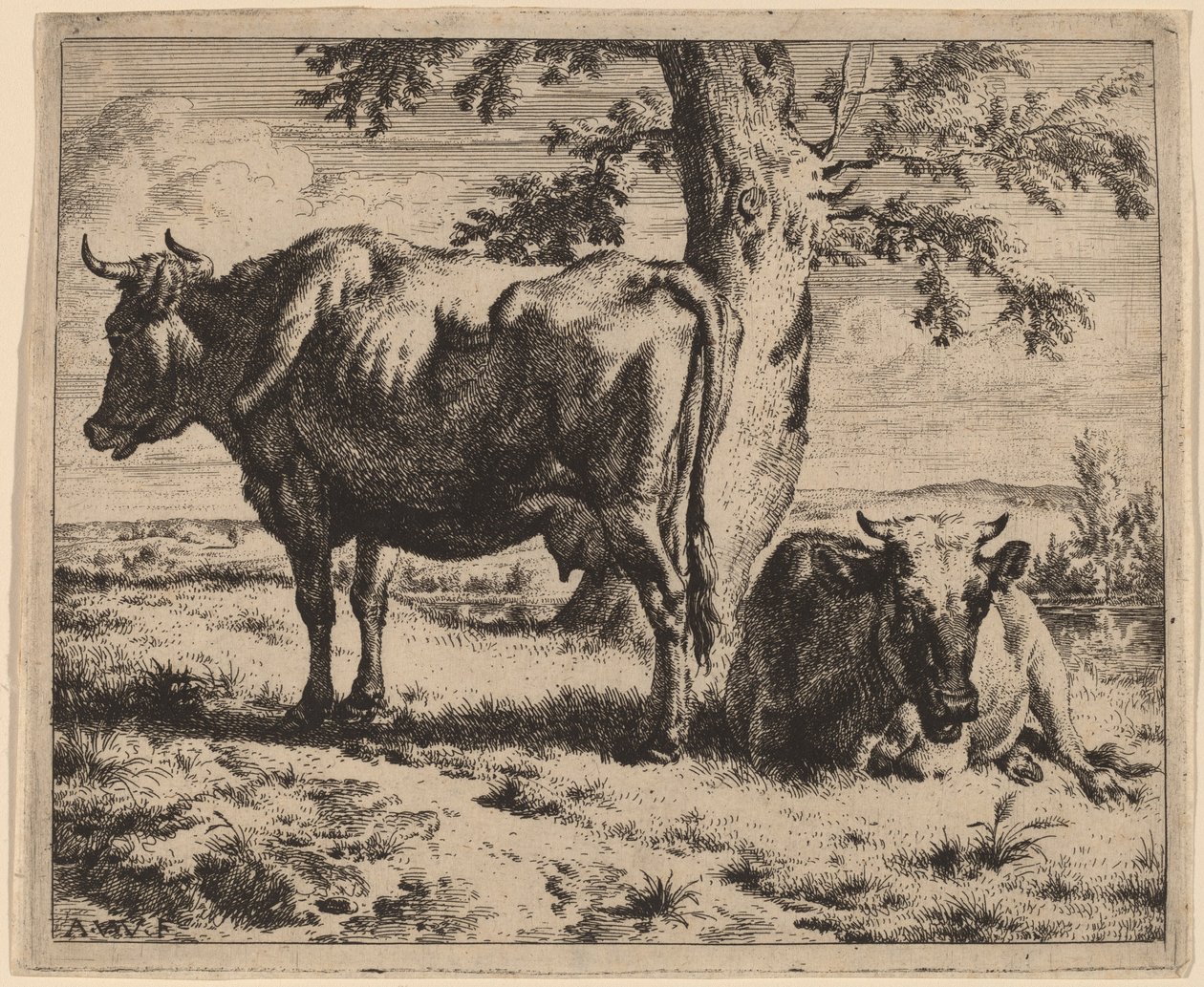 Dvě krávy pod stromem od Adriaen van de Velde