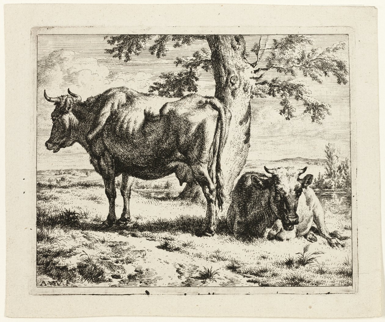 Dvě krávy pod stromem od Adriaen van de Velde