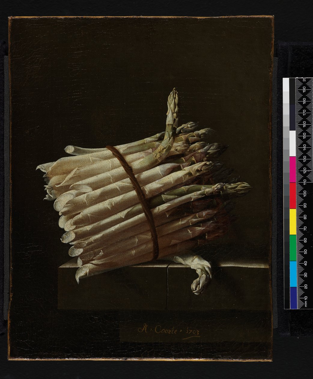 Svazek chřestu, 1703 od Adrian Coorte