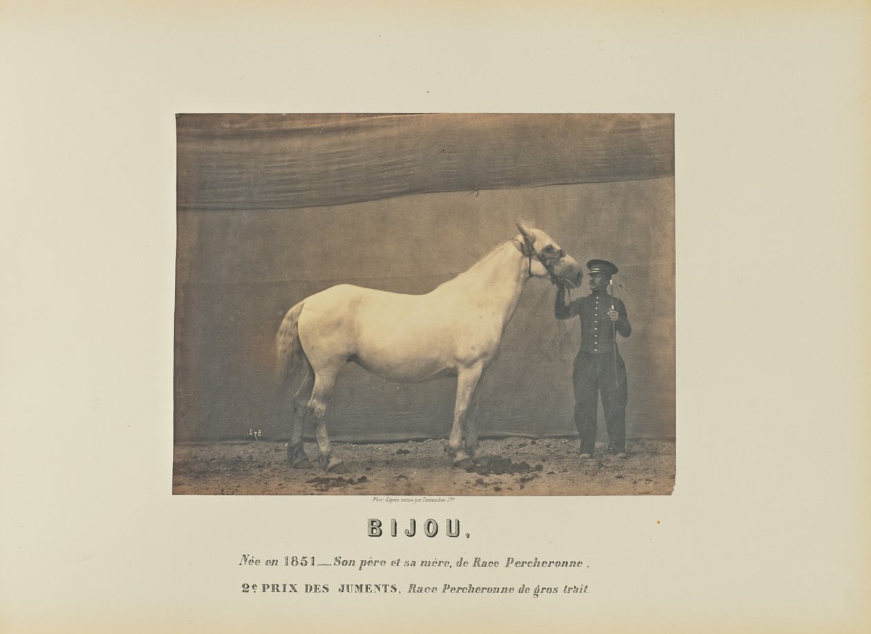 Bijou od Adrien Alban Tournachon