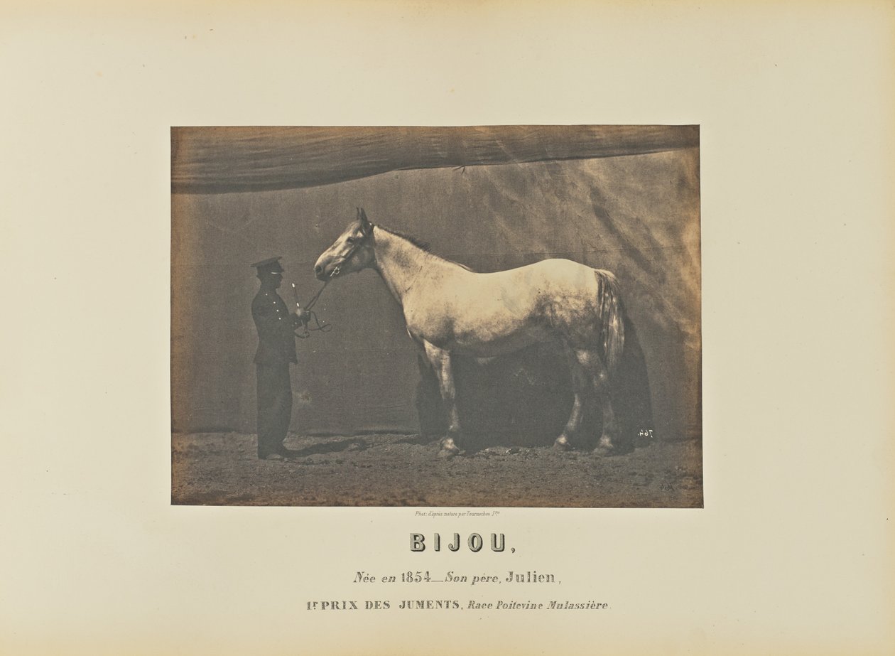 Bijou od Adrien Alban Tournachon